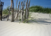 Sand